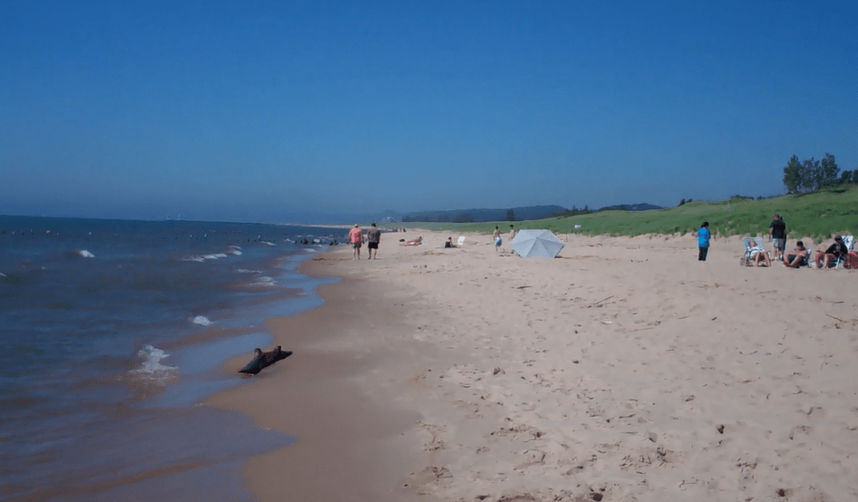 The World’s Beaches (Book&nbsp;Review)