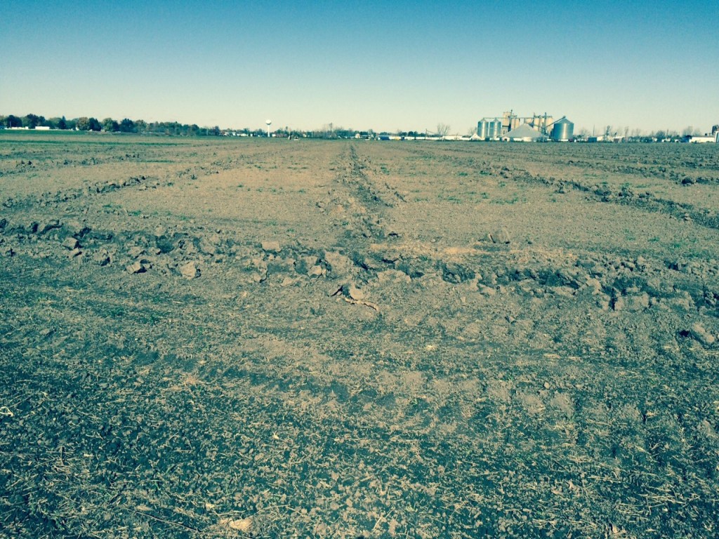Field after recent tile installation. the parallel tile trenches are about 24-feet apart. 