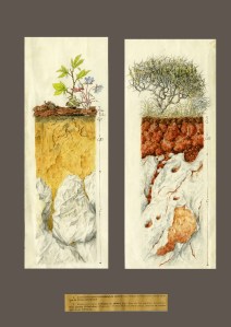 Watercolor #16 by Walter L. Kubiena