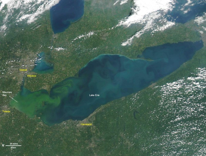 MODIS satellite image of Lake Erie, September 3, 2011. 