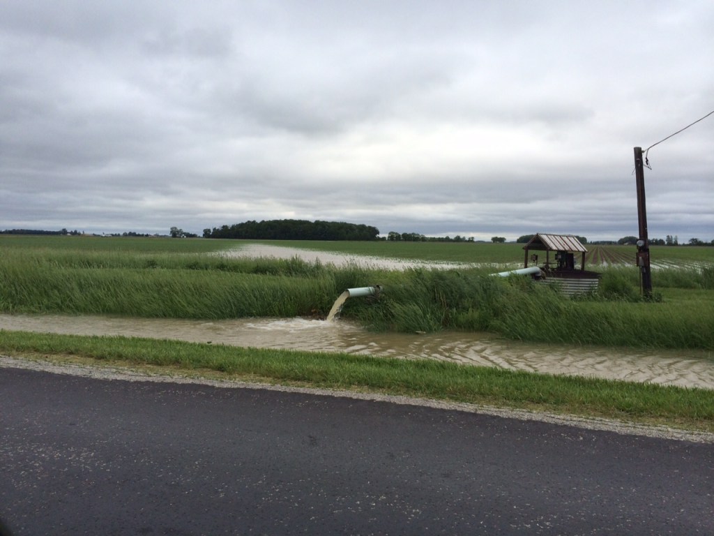 Field water is pumped from a drain tile pump station into a roadside ditch en route to the River Raisin and western Lake Erie. Lenawee County, Michigan.