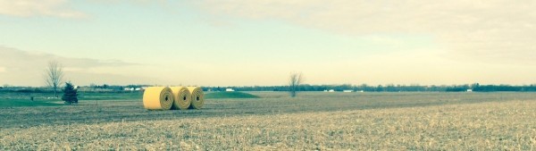 Plastic tile pipe staged for installation, Lenawee County, MI (November 2015).