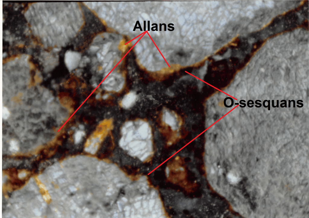 Sand grains with compound cutans: inner allophane (allans) and outer organo-sesquioxide cutans (O-sesquans) (250X).